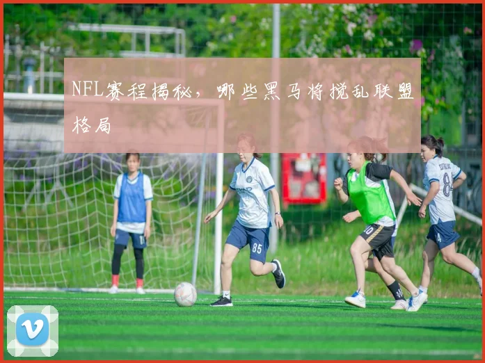 NFL赛程揭秘，哪些黑马将搅乱联盟格局
